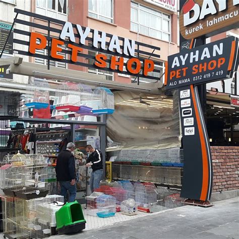 pet market ankara kızılay